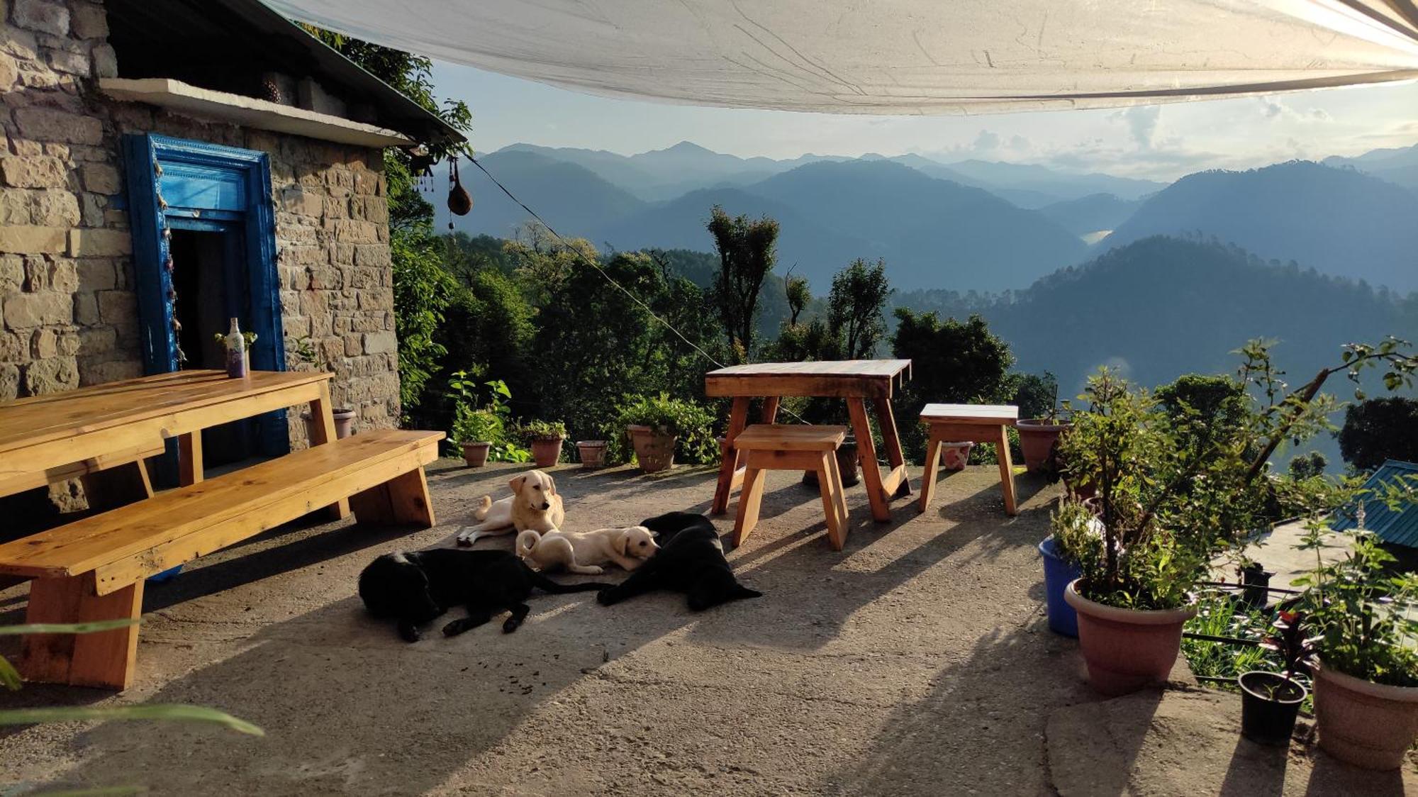 Vista Hostel Jeolikote, Nainital Patwa Dunga Room photo